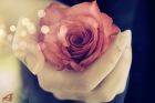 عکس عاشقانه جدید عکس عاشقانه جدید